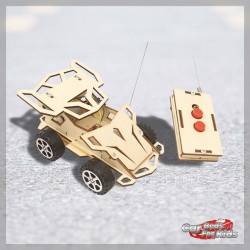 Car kit - RC wood remote...